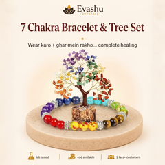 Authentic natural 7 Chakra Bracelet & Tree Set for Personal Balance and Home Energy, shown as the main Evashu product view