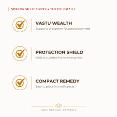 Sphatik Shree Yantra Turtle Shree Yantra benefits for wealth attraction and prosperity intention, explained in an Evashu natural-crystal guide