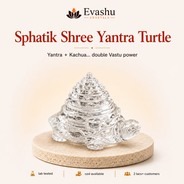 Authentic natural Sphatik Shree Yantra Turtle Shree Yantra for Vastu Wealth and Protection Shield, shown as the main Evashu product view