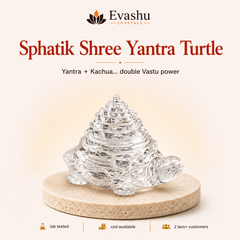 Authentic natural Sphatik Shree Yantra Turtle Shree Yantra for Vastu Wealth and Protection Shield, shown as the main Evashu product view