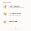 Sphatik Tortoise benefits for wealth attraction and prosperity intention, explained in an Evashu natural-crystal guide