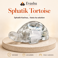 Authentic natural Sphatik Tortoise for Vastu Balance and Wealth Stability, shown as the main Evashu product view