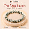 Authentic natural Agate Bracelet for Growth and Grounding, shown as the main Evashu product view
