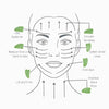 Face illustration showing smoother wrinkles, lifted eyebrows, reduced dark circles, firmer skin and improved neck area