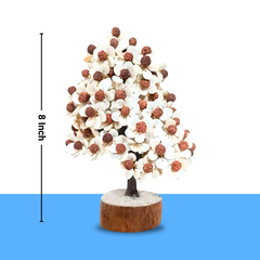 Natural & Original Gomti Chakra Crystal Tree – Wealth, Abundance & Prosperity | Showpiece for Home & Office - Close Up Detail Texture | Natural Seven Chakra, Rudraksha Crystal Crystal Tree for Evil Eye Protection & Negative Energy Shield