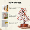 Natural & Original Gomti Chakra Crystal Tree – Wealth, Abundance & Prosperity | Showpiece for Home & Office - Lifestyle View | Natural Seven Chakra, Rudraksha Crystal Crystal Tree for Evil Eye Protection & Negative Energy Shield