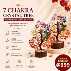 Pack of 2 Seven Chakra Crystal Trees with Wooden Base – Natural Decorative Tree for Balance, Harmony & Positive Energy | Home & Office Décor - Front View | Natural Seven Chakra Crystal Ring for Chakra Balance & Energy Alignment