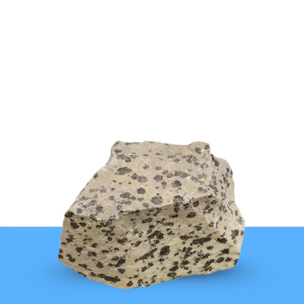 Raw Dalmatian Jasper crystal cluster representing grounding, stability, and uplifted mood.