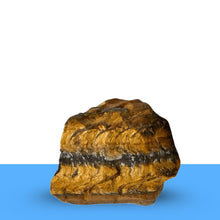 Load image into Gallery viewer, Raw Tiger Eye crystal cluster representing strength, courage, and sharpened focus.
