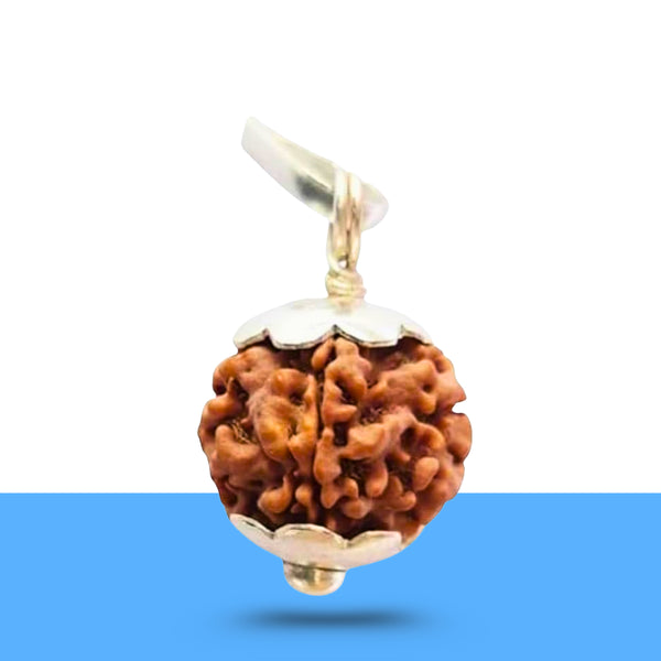 1 Mukhi Rudraksha pendant on a smooth white surface.