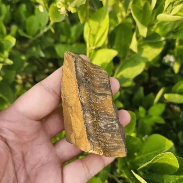 Tiger Eye raw stone resting on the hand, symbolizing focus, courage, and clarity.