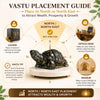 Pyrite Tortoise (Kachua) for Wealth, Business Growth & Energy Protection | Powerful Vastu Remedy for Office & Desk