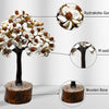 Gomati Chakra with Rudraksha Tree – 100 Beads | Positive Energy, Good Luck & Spiritual Growth for Home Décor