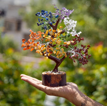 Load image into Gallery viewer, Pack of 2 - Seven Chakra Natural Crystal Trees with Wooden Base for Wealth, Prosperity &amp; Positivity
